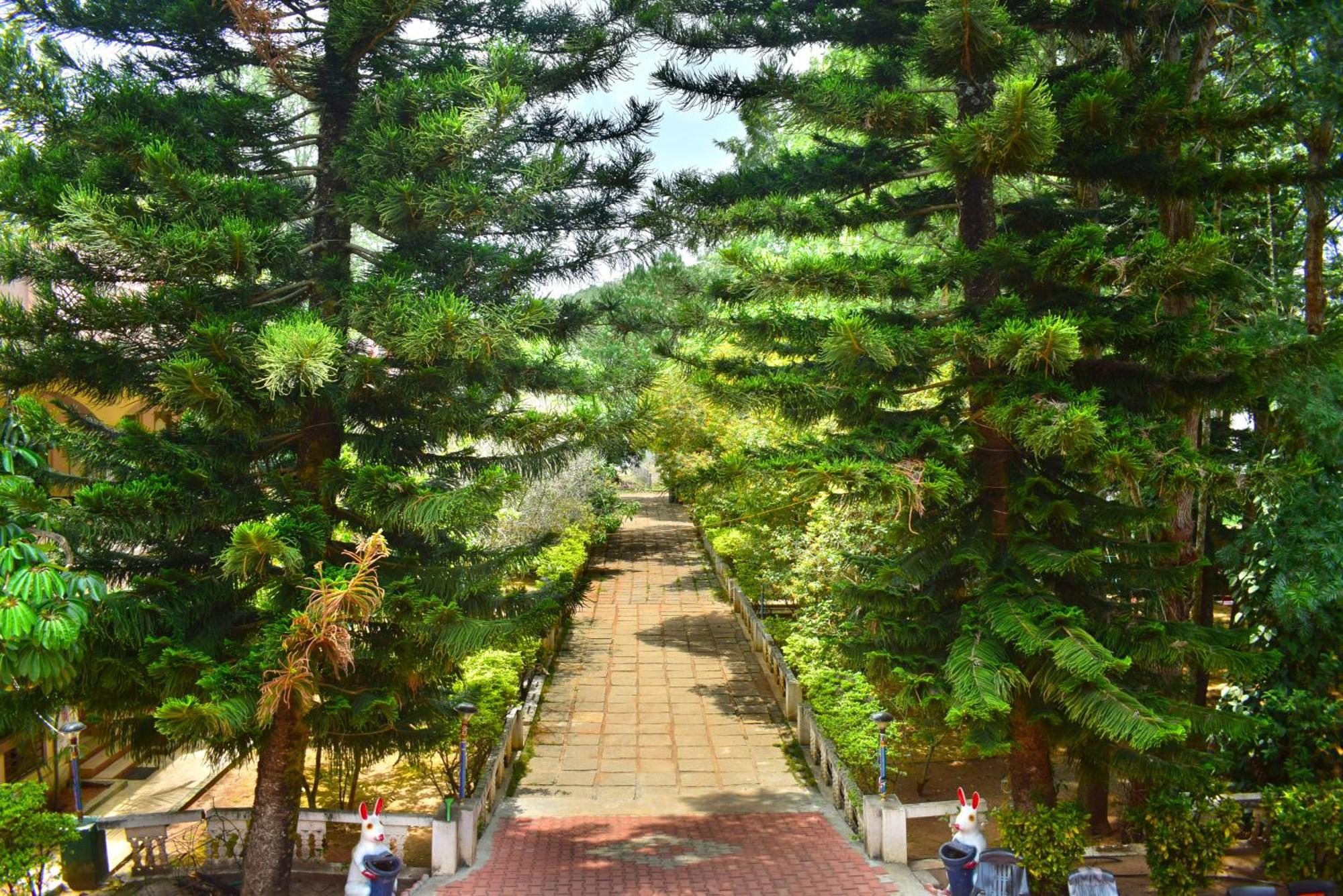 ילאגירי Jains Royal Palace Resorts מראה חיצוני תמונה